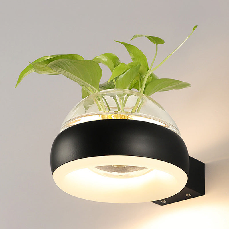 BowLift | Clear Glass Dome Wall Lighting Industry 1 Bulb Bedroom LED Wall Light Lamp in Black/Grey/White with Plant Holder