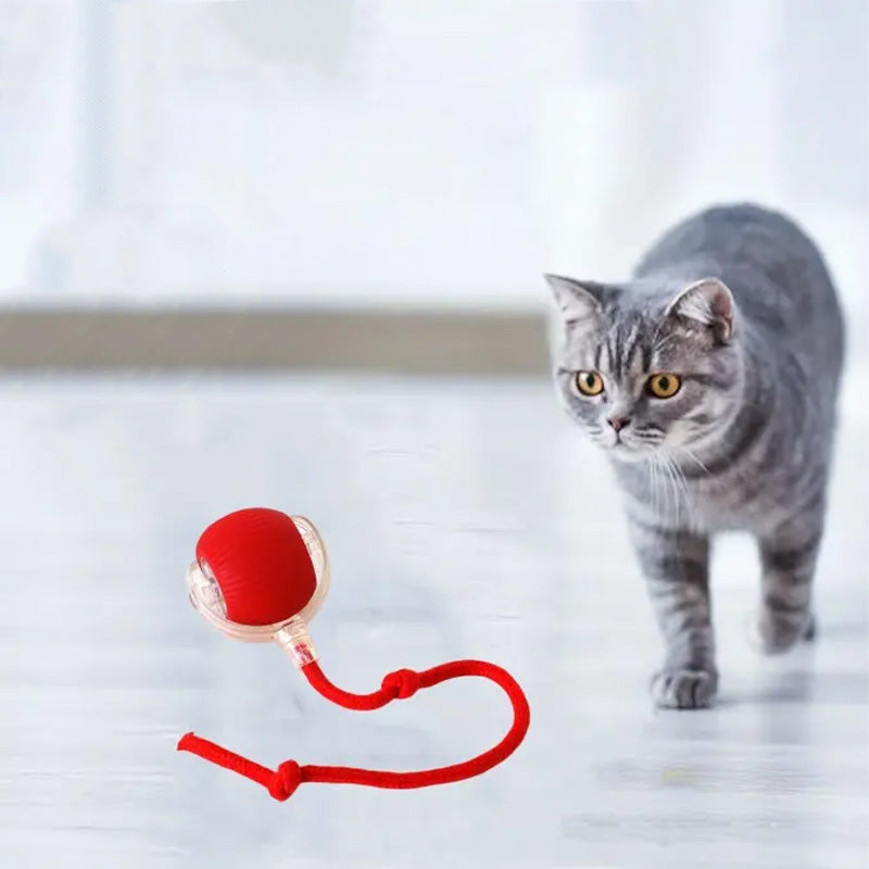 BowLift | Indoor Cat interactive ball