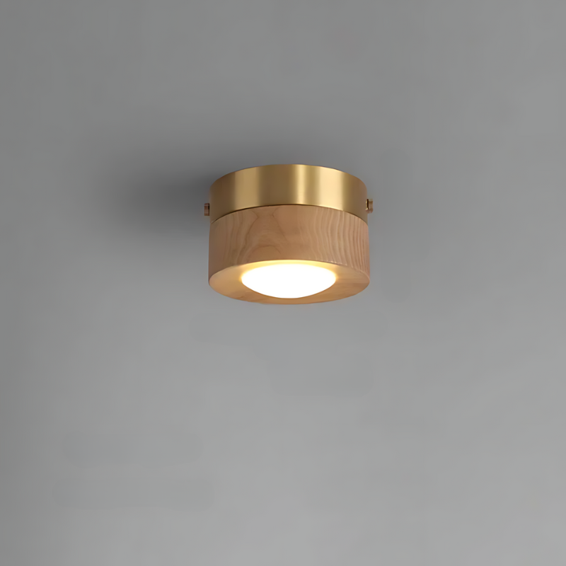 BowLift | | Walnut ceiling lamp with LED spotlight