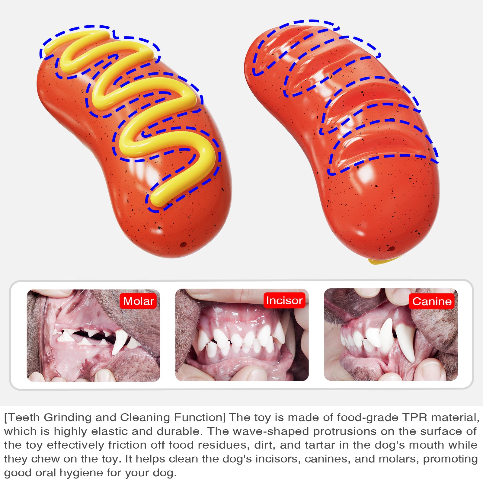 American Sausage Squeaky Chew Toy for Dogs