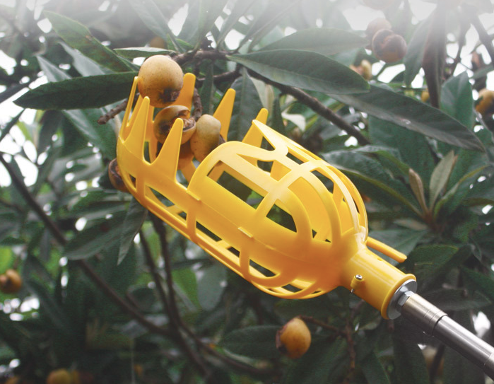 BowLift | Harvest aid for fruit – Practical fruit grabber tool for trees and bushes