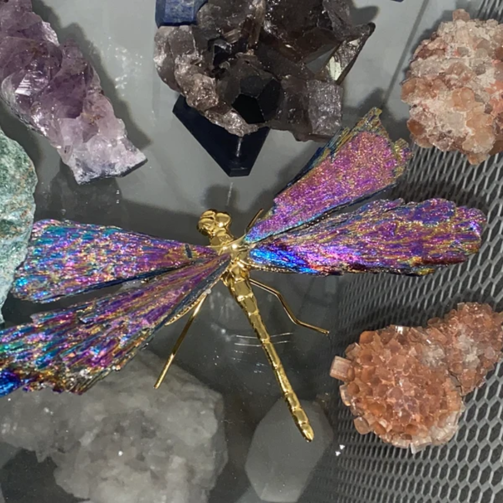 BowLift | Aurora Dragonfly Charm