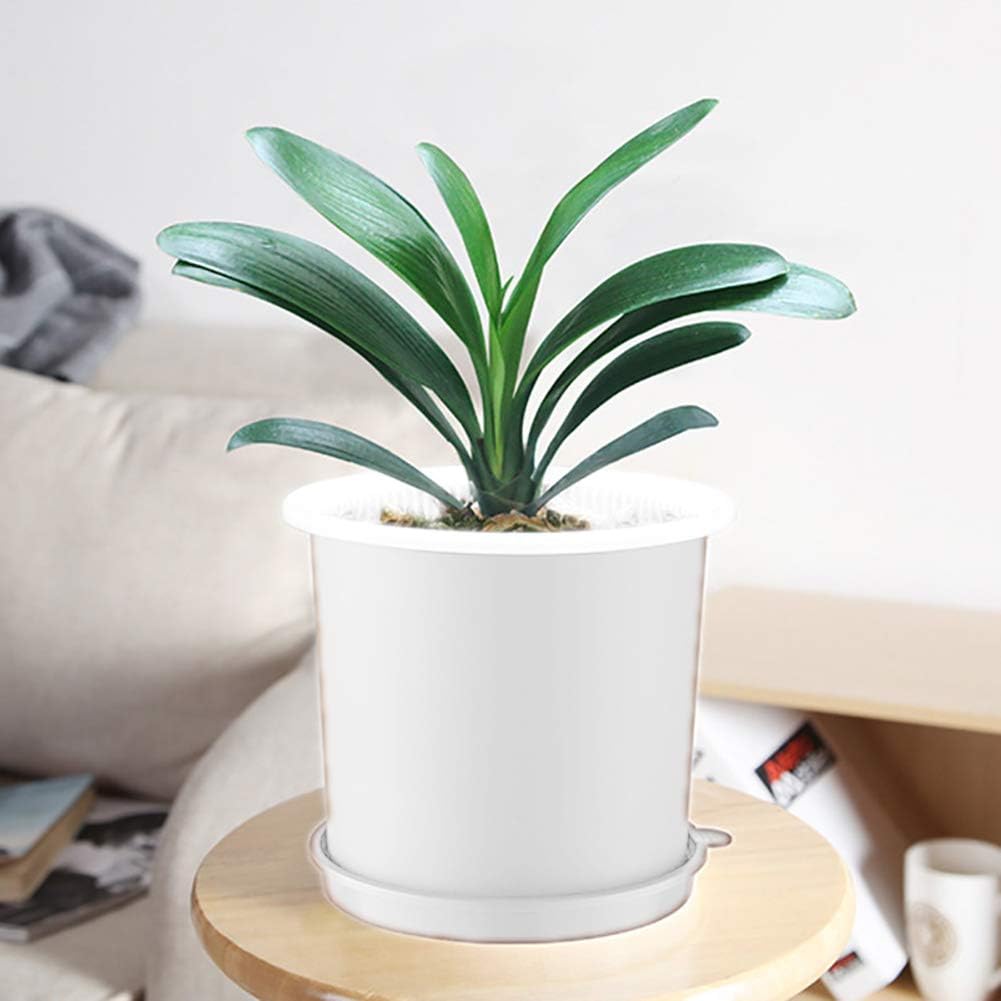 BowLift | Breathable Root Control Pot for Plants – Ideal for Healthy Growth and Optimal Aeration