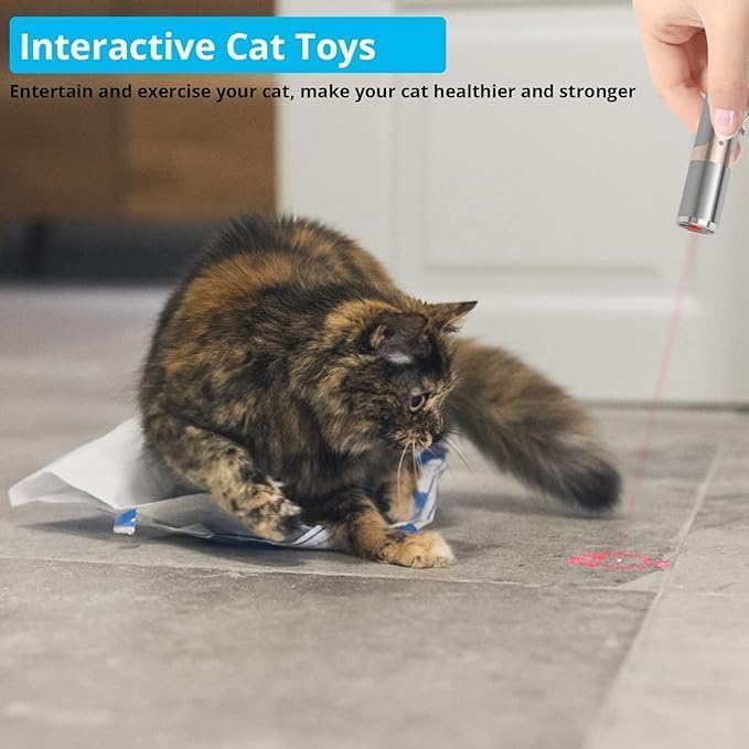 BowLift | Cat Toy Rechargeable Stainless Steel Laser Light