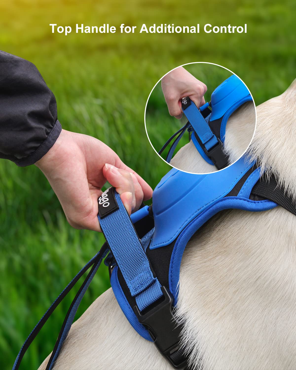 BowLift | mamymarket™ - Dog Harness and Retractable Leash Set All-in-One