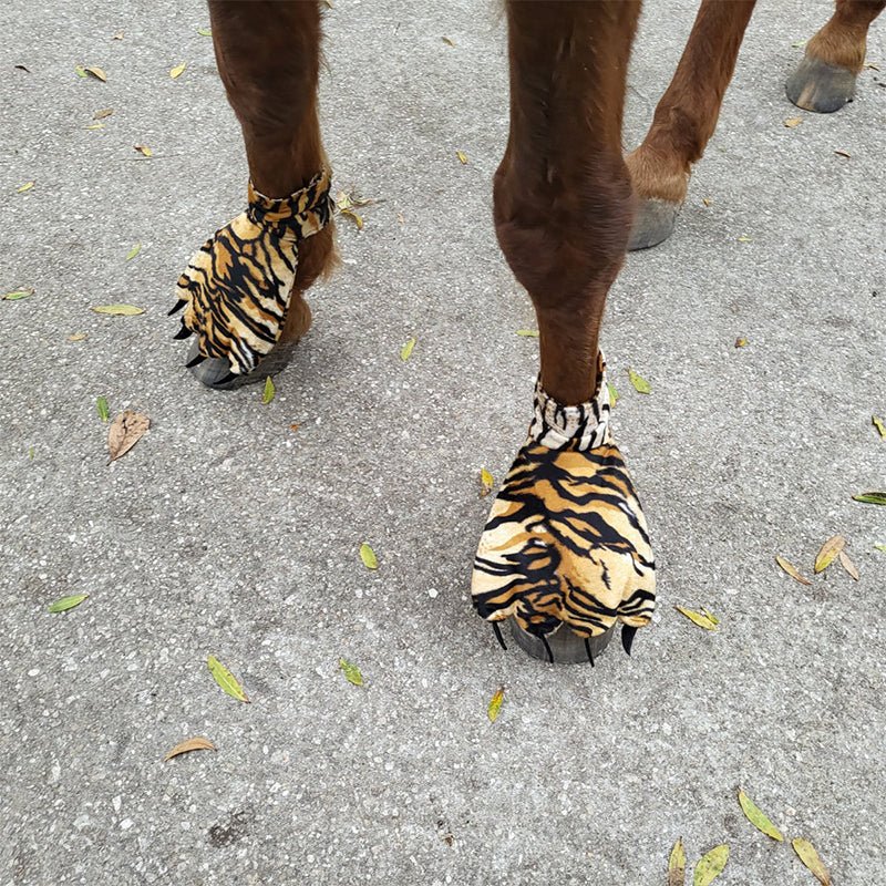 BowLift | Funny Feet For Horse