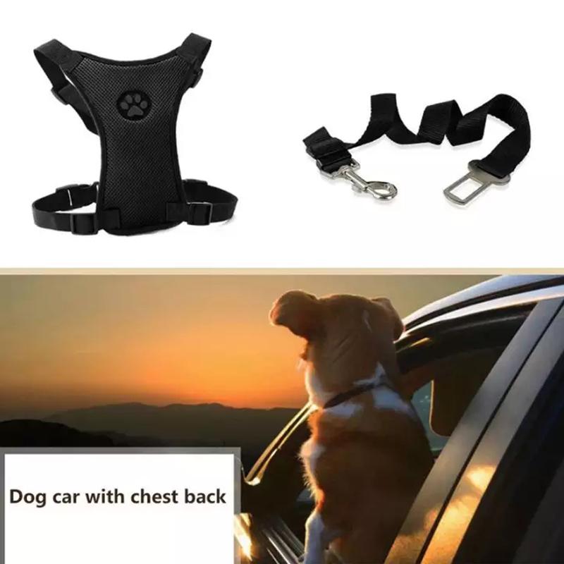 BowLift | Dog Safety Harness Set