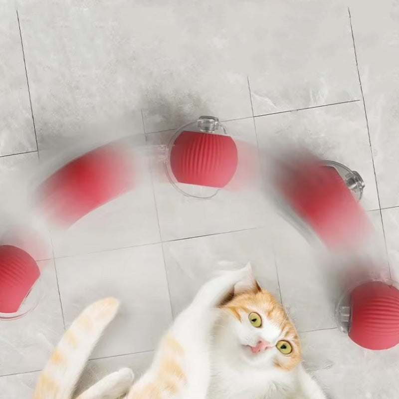 BowLift | Indoor Cat interactive ball