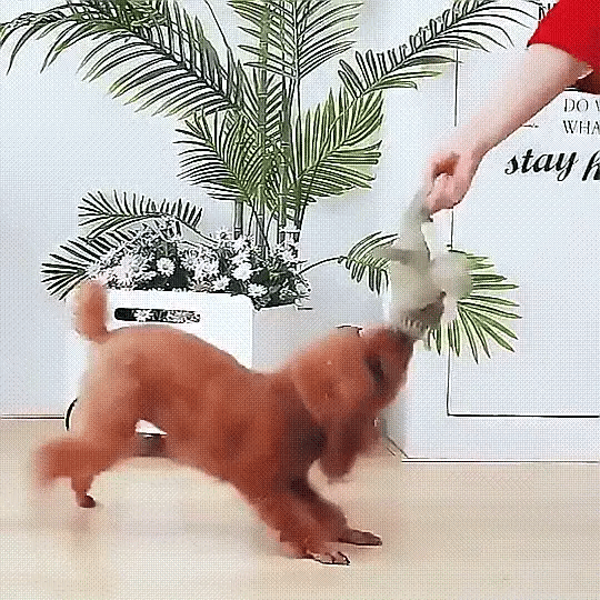 BowLift | Dog Chew Toy Plush Durable Squeaky Animal