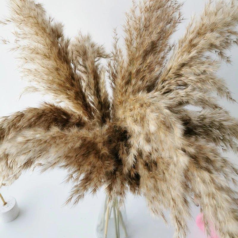 BowLift | 60 cm natural, real, brown-beige dried pampas grass bouquet │ fluffy feather for modern boho home decoration