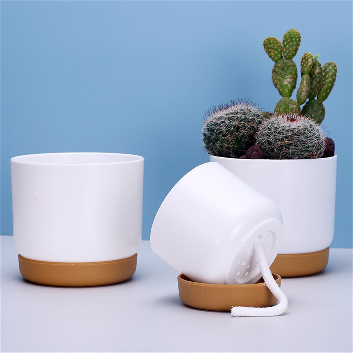 BowLift | Self-watering flower pot for orchids and plants – Plastic plant container