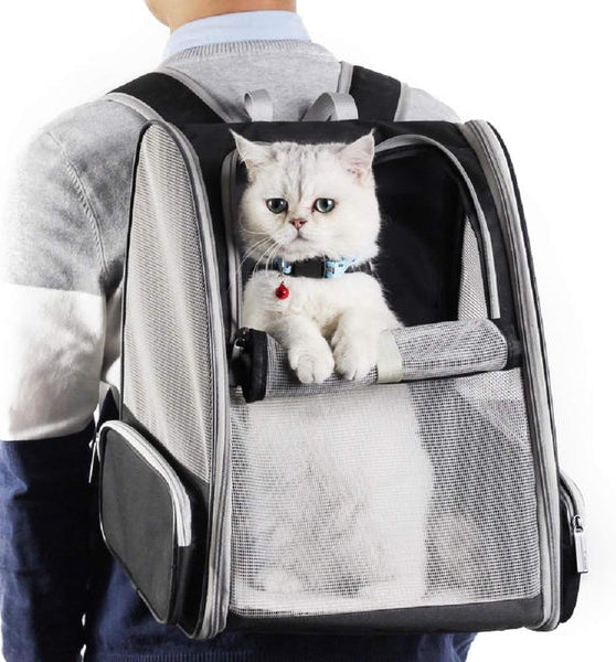 BowLift | Backpack Carrier Cat