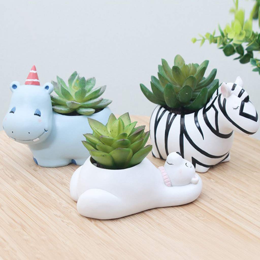 BowLift | Animal Plant Pots – Funny Animal Designs for Succulents and Cacti