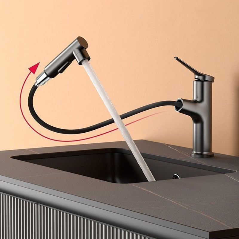 BowLift | Contemporary Style Faucet Single Lever Mixer with Swivel Spout