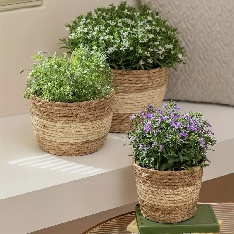 BowLift | Decorative plant baskets made of seagrass in a set of 3 – Handwoven flower pots with foil insert