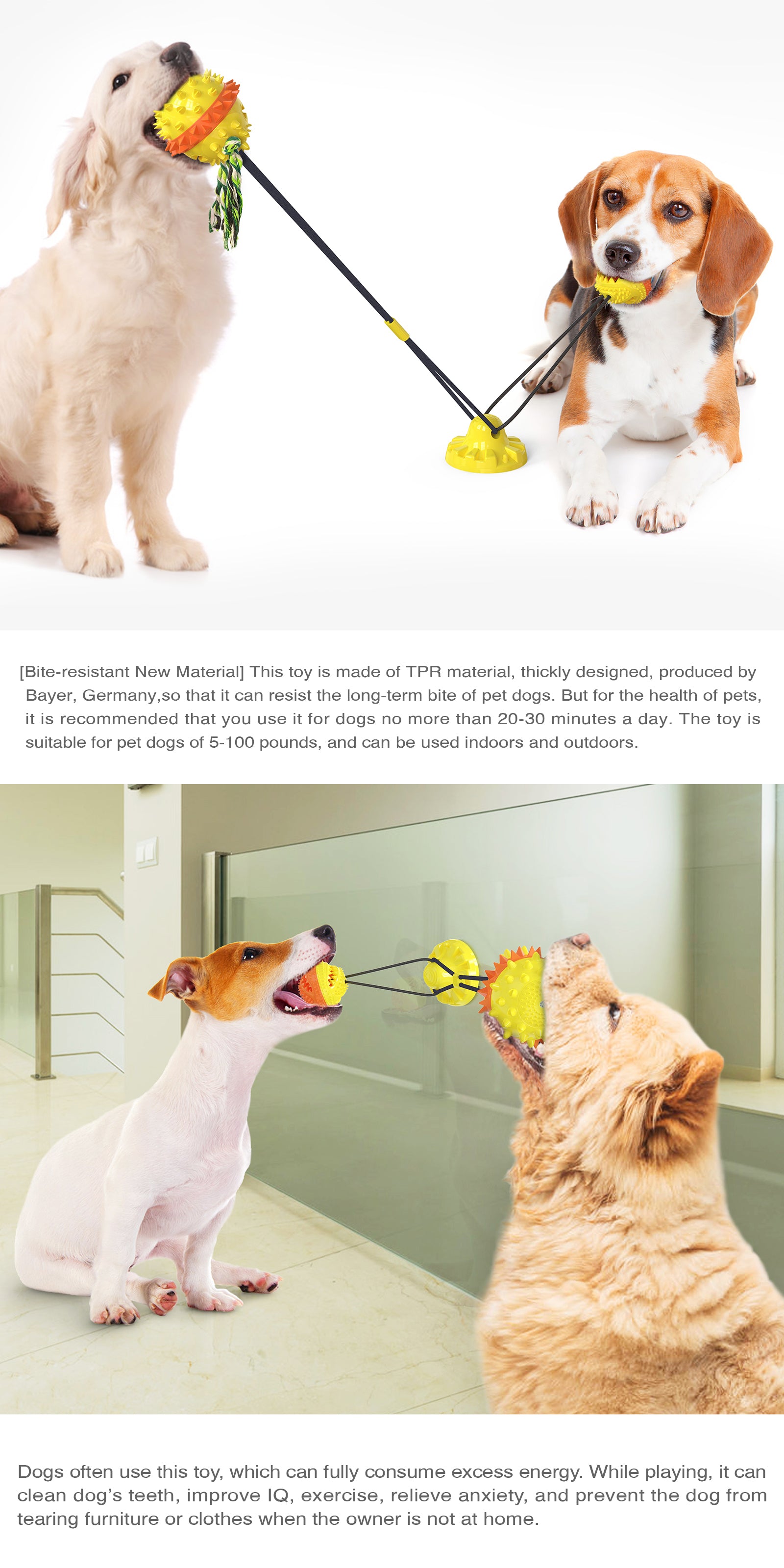 Enhanced Suction Cup Rope Ball Type B – Double Ball Chew Toy for Dogs