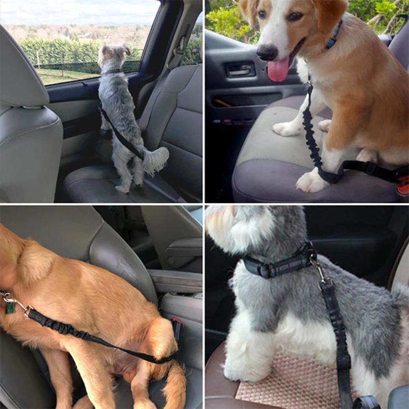 BowLift | Adjustable Safety Belts for Dogs