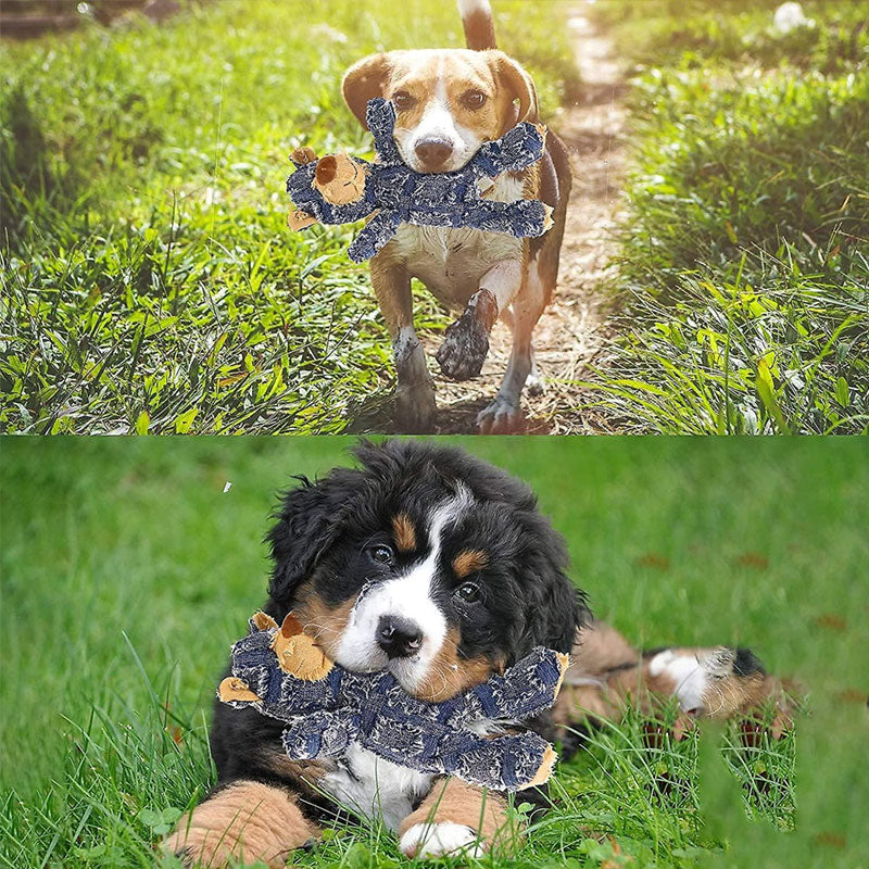 BowLift | Indestructible Sturdy Bear