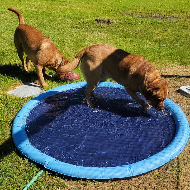 BowLift | Dog Sprinkler Pool 59''x59''