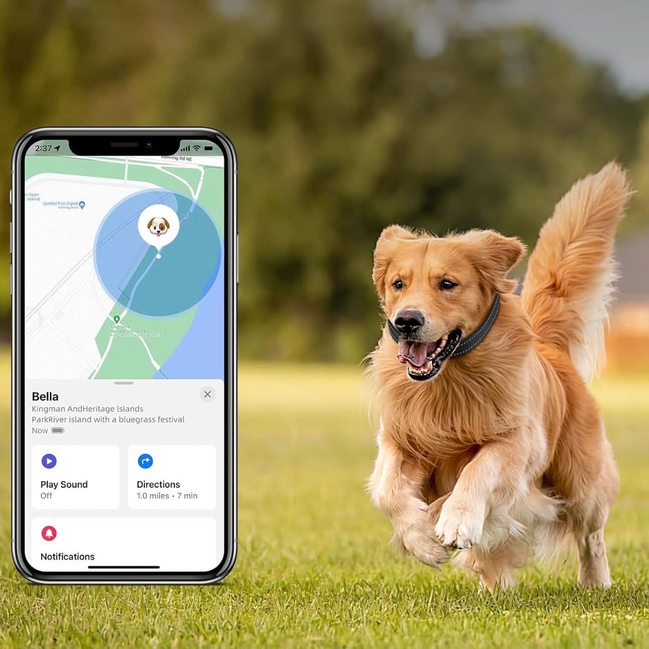 BowLift | LEAZO - AirTag Dog Collar