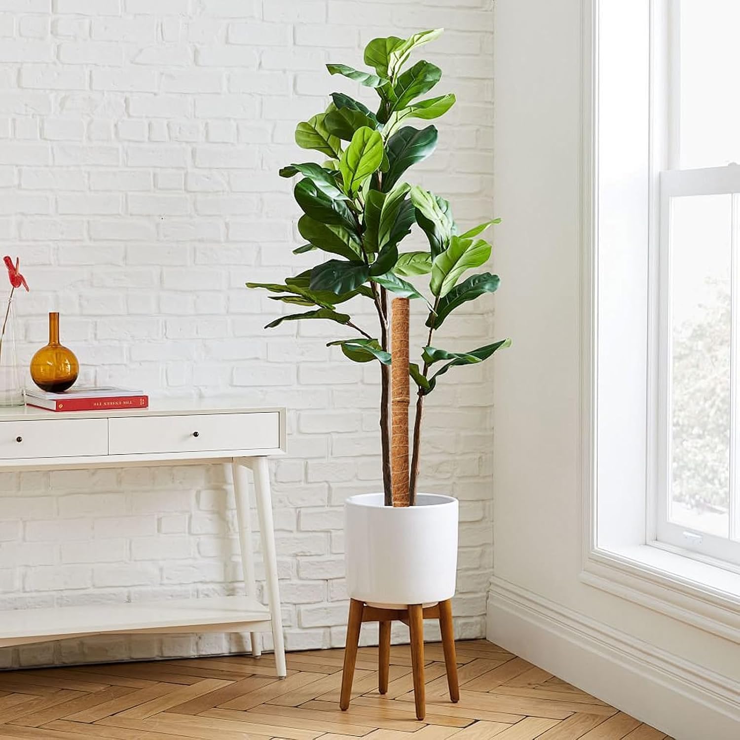 BowLift | Coconut moss stick for climbing plants – Natural climbing aid for houseplants and garden