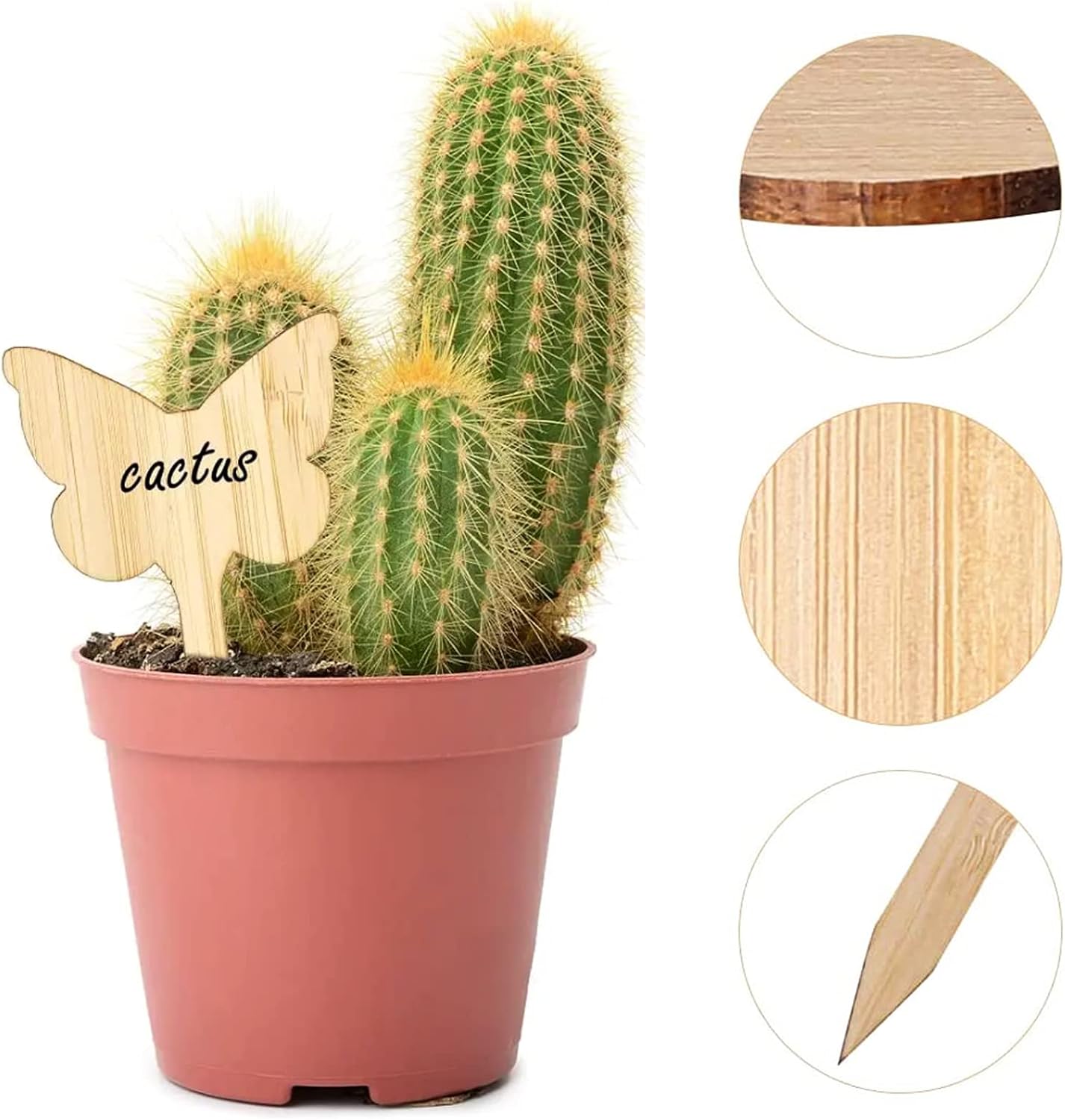 BowLift | Plant labels made of wood for garden and balcony ā Rewritable labels for herbs and plants