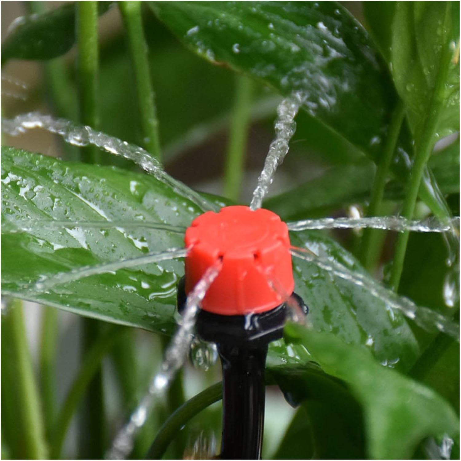 BowLift | Automatic drip irrigation system for plants – Complete set for garden and balcony