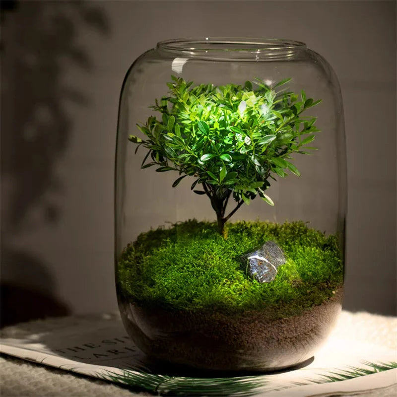BowLift | Micro Landscape Green Oasis Glass Vase