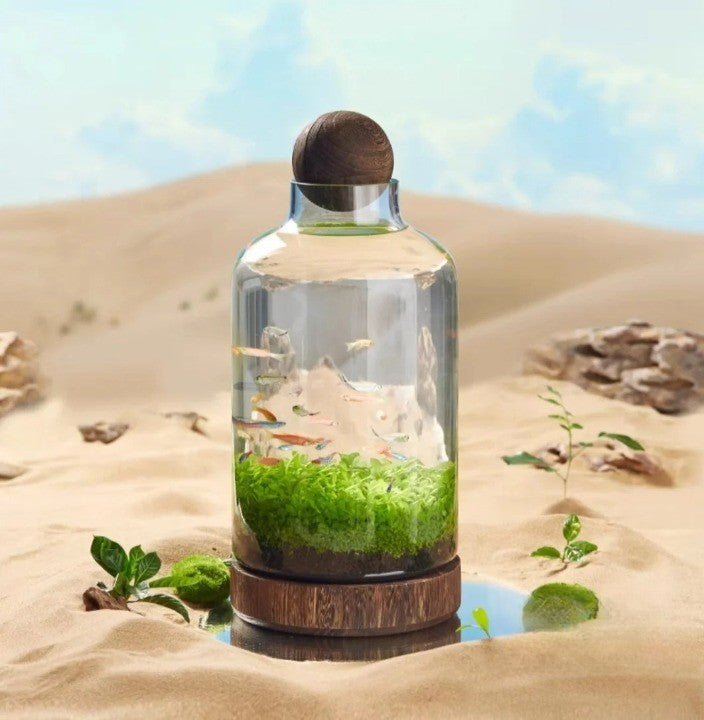 BowLift | Micro Aquarium Compact Glass Ecological Fish Tank