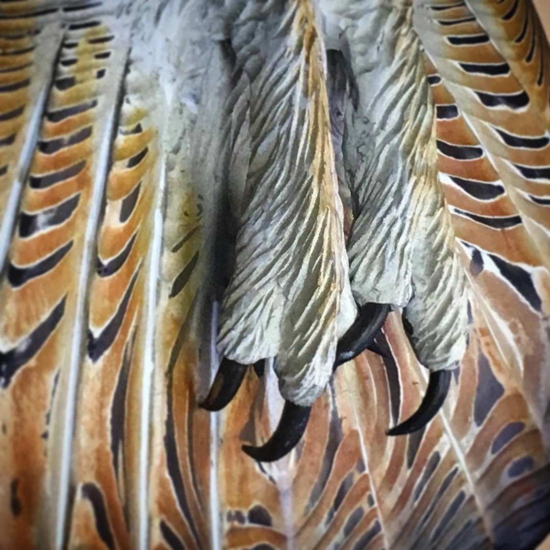 BowLift | Great owl gaze in artistic edition