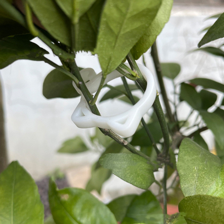 BowLift | Cat-shaped Plant Clip – Cute Plant Support for Garden and House Plants