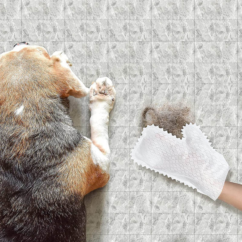 BowLift | Fish Scale Cleaning Duster Gloves