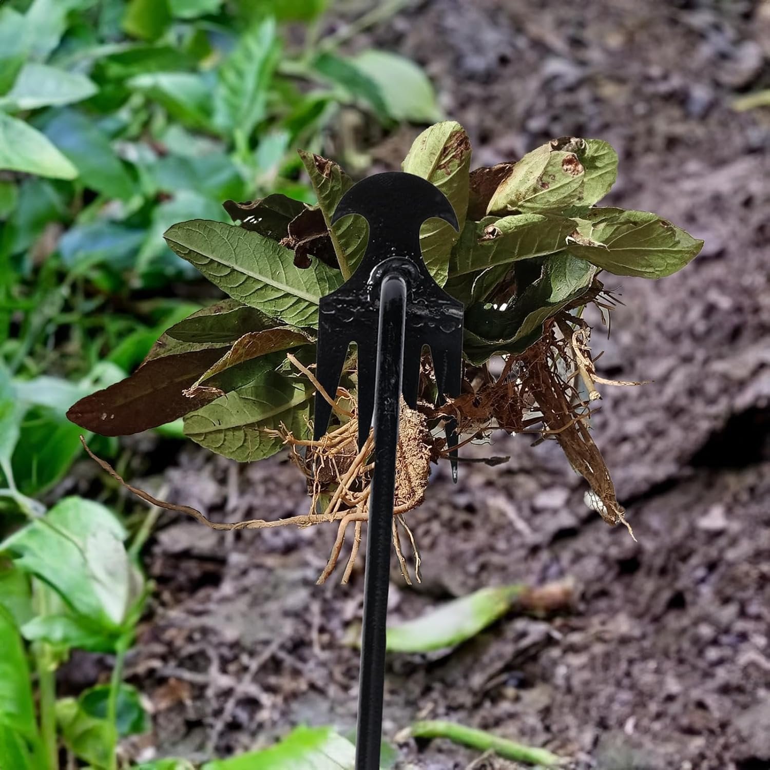 BowLift | Garden Weed Pulling Tool