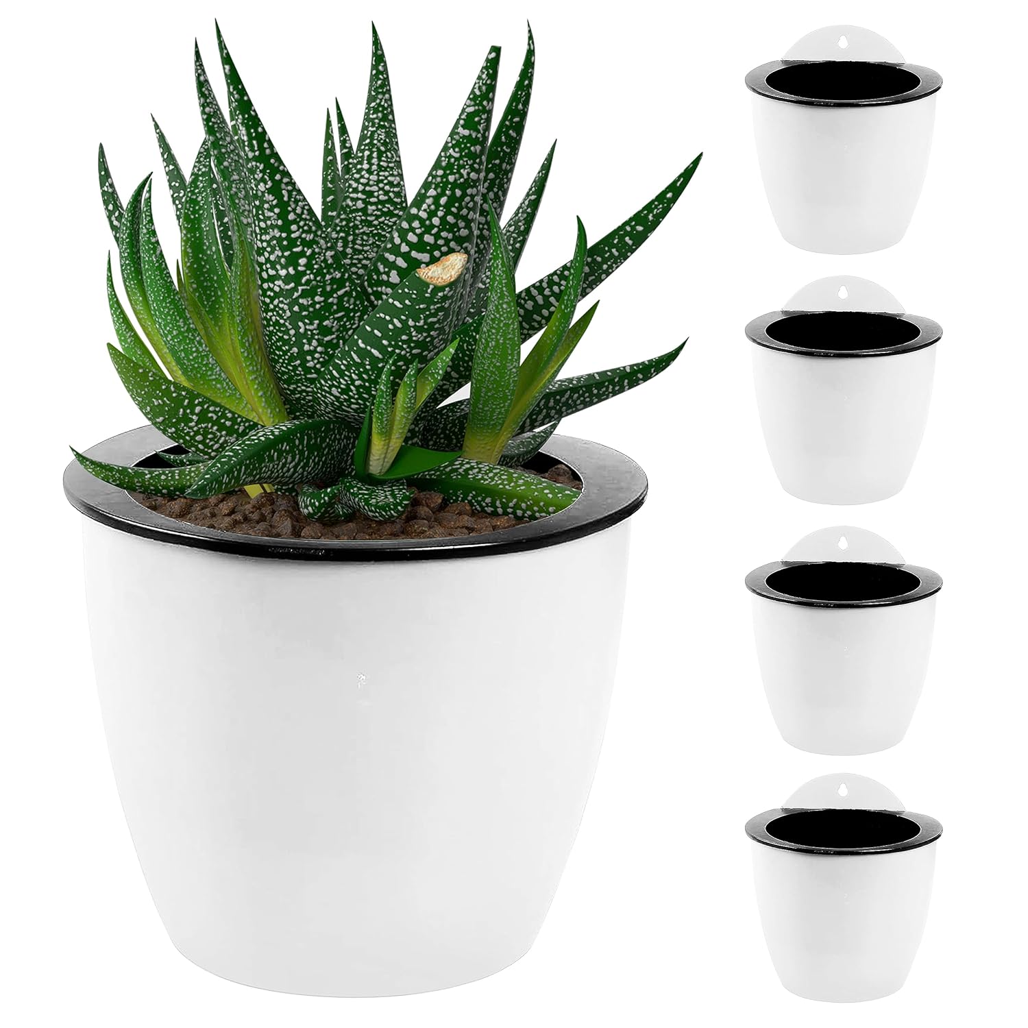 BowLift | Self-watering hanging plant pot – Modern flower pot for wall mounting