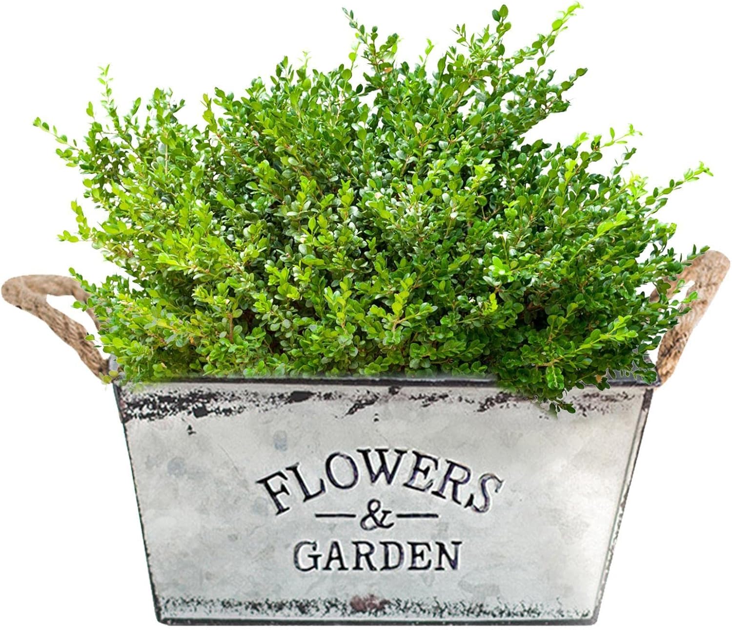 BowLift | Decorative flower and garden container made of metal with hemp rope handles