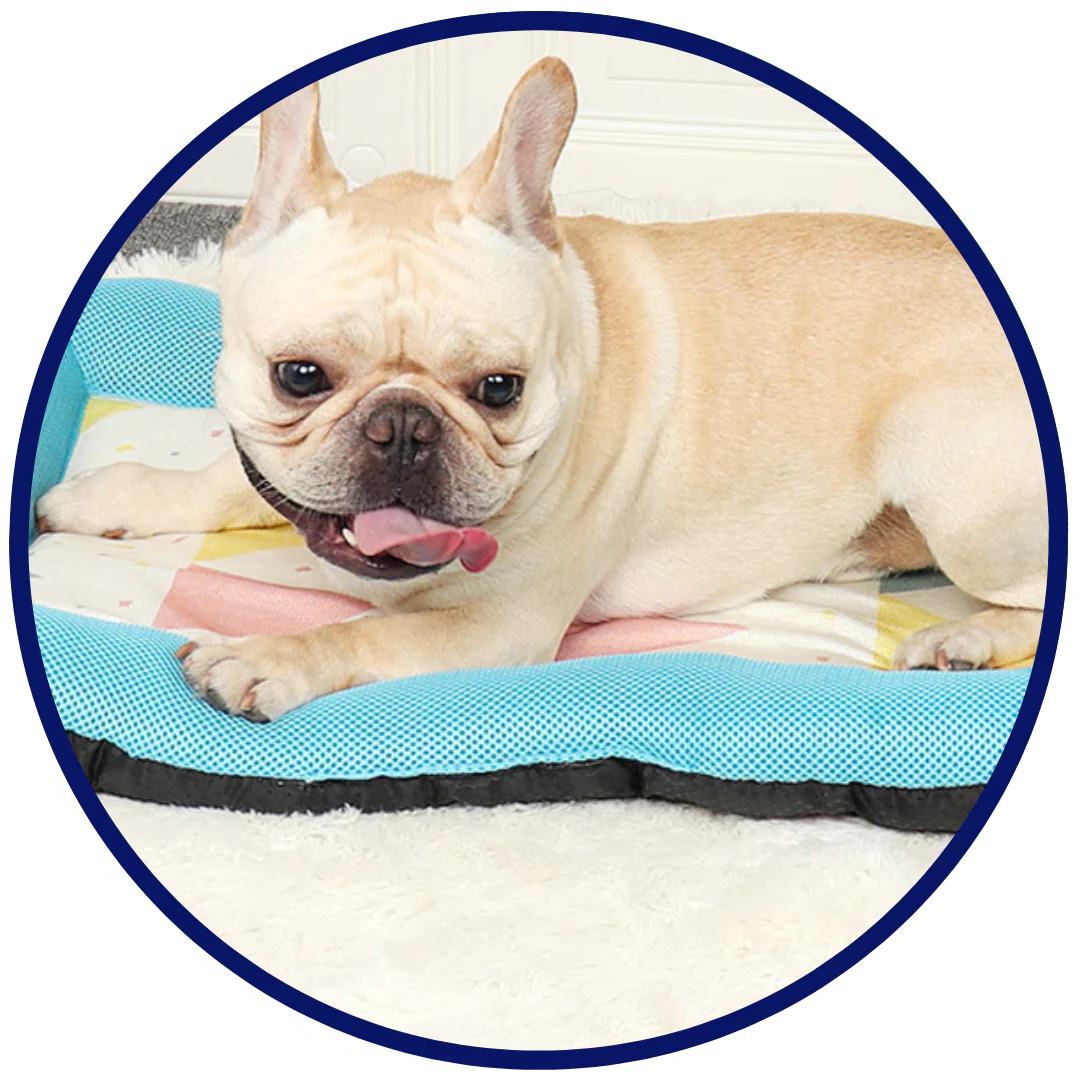 BowLift | Pet Silk Cooling Mat