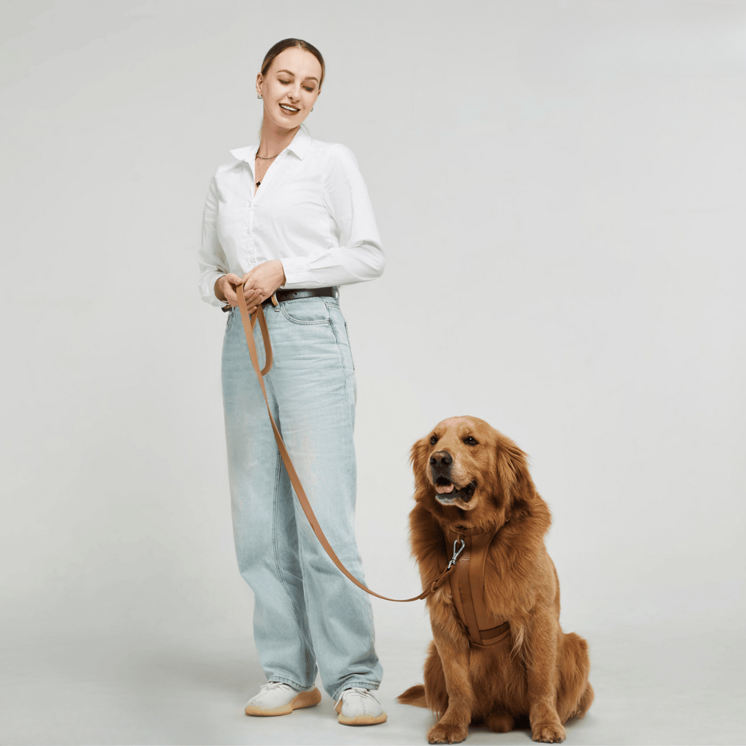 BowLift | ComfyPaws Dog Harness Walking Set with Leash and Poop Bag Holder
