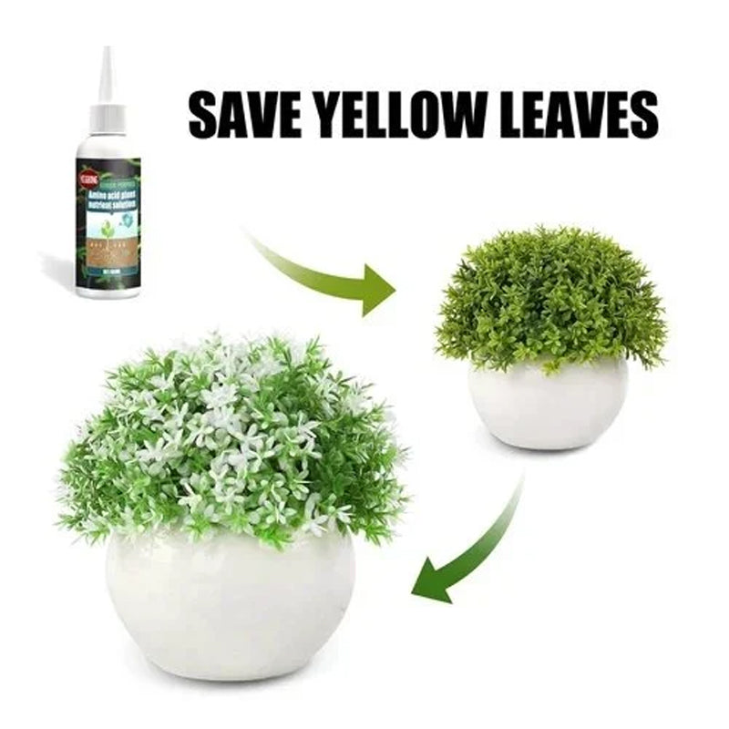 BowLift | Plant Nutrient Solution