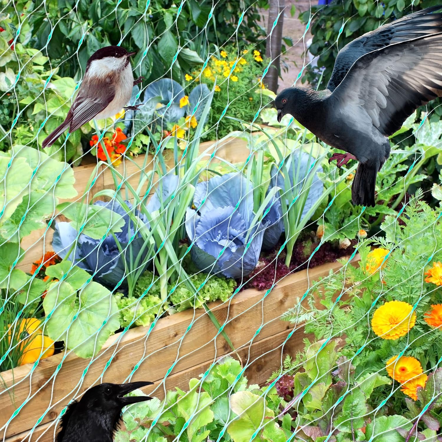 BowLift | Protective net for garden plants – Green net against pests and animals