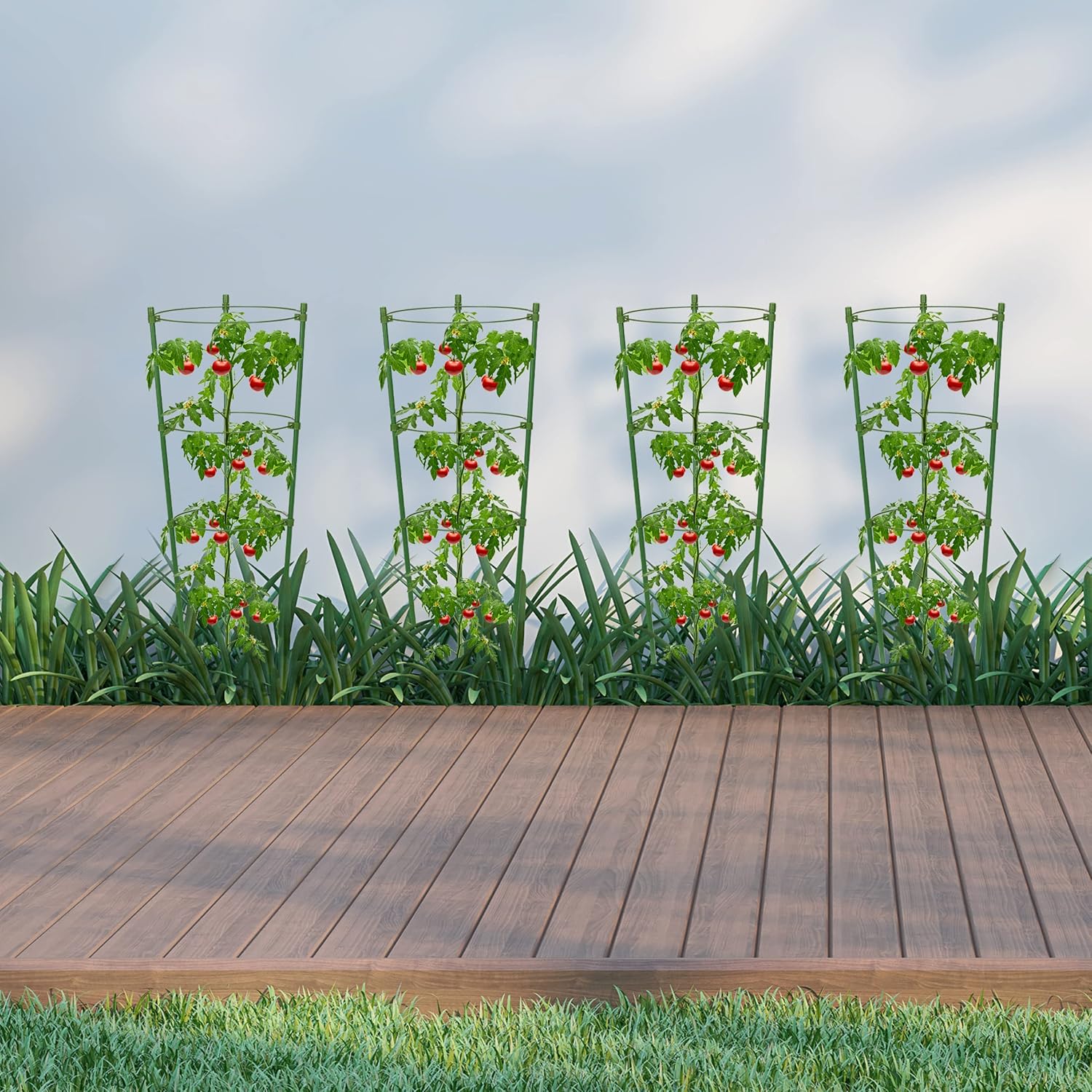 BowLift | Climbing frame for plants – Sturdy support ring frame for climbing plants