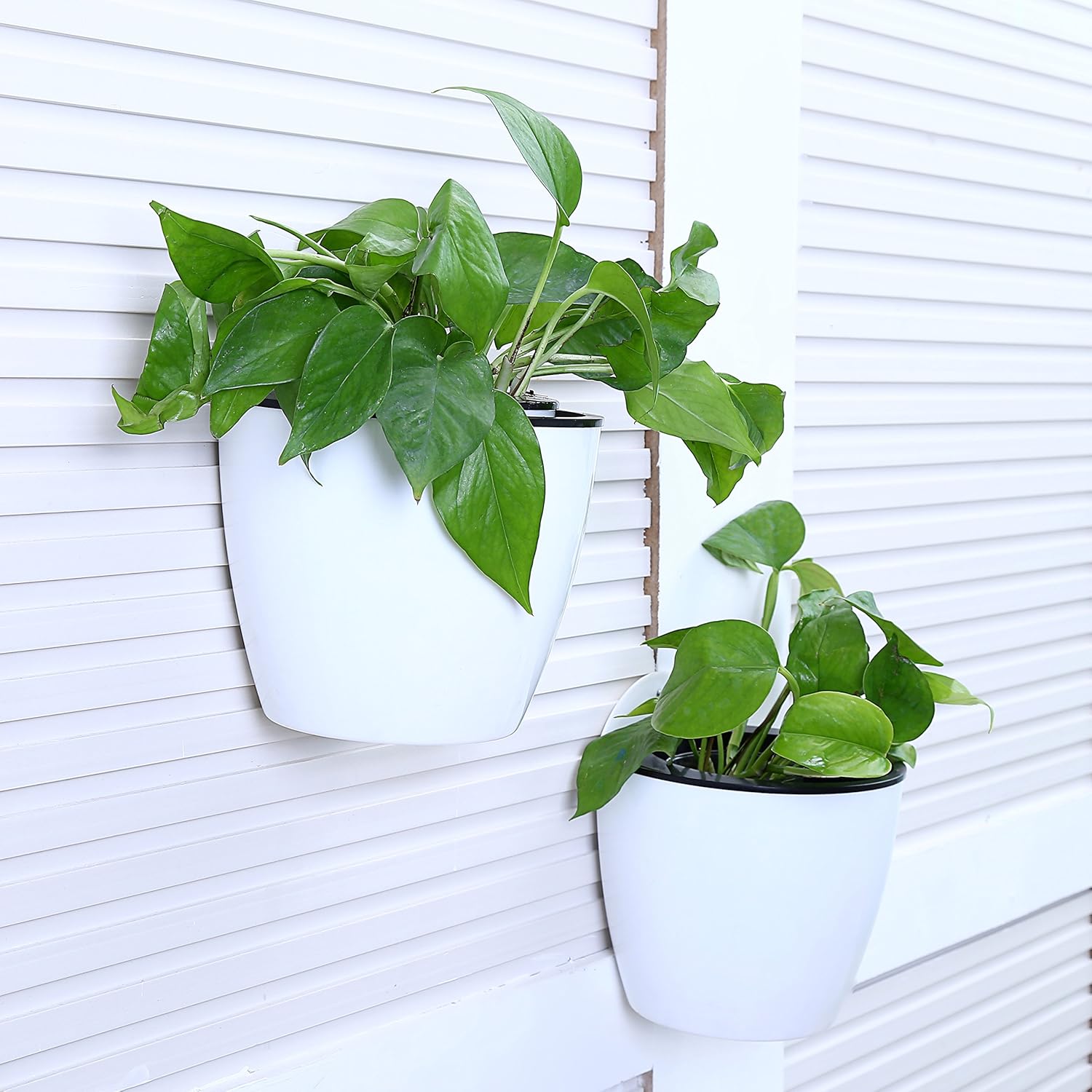 BowLift | Self-watering hanging plant pot – Modern flower pot for wall mounting