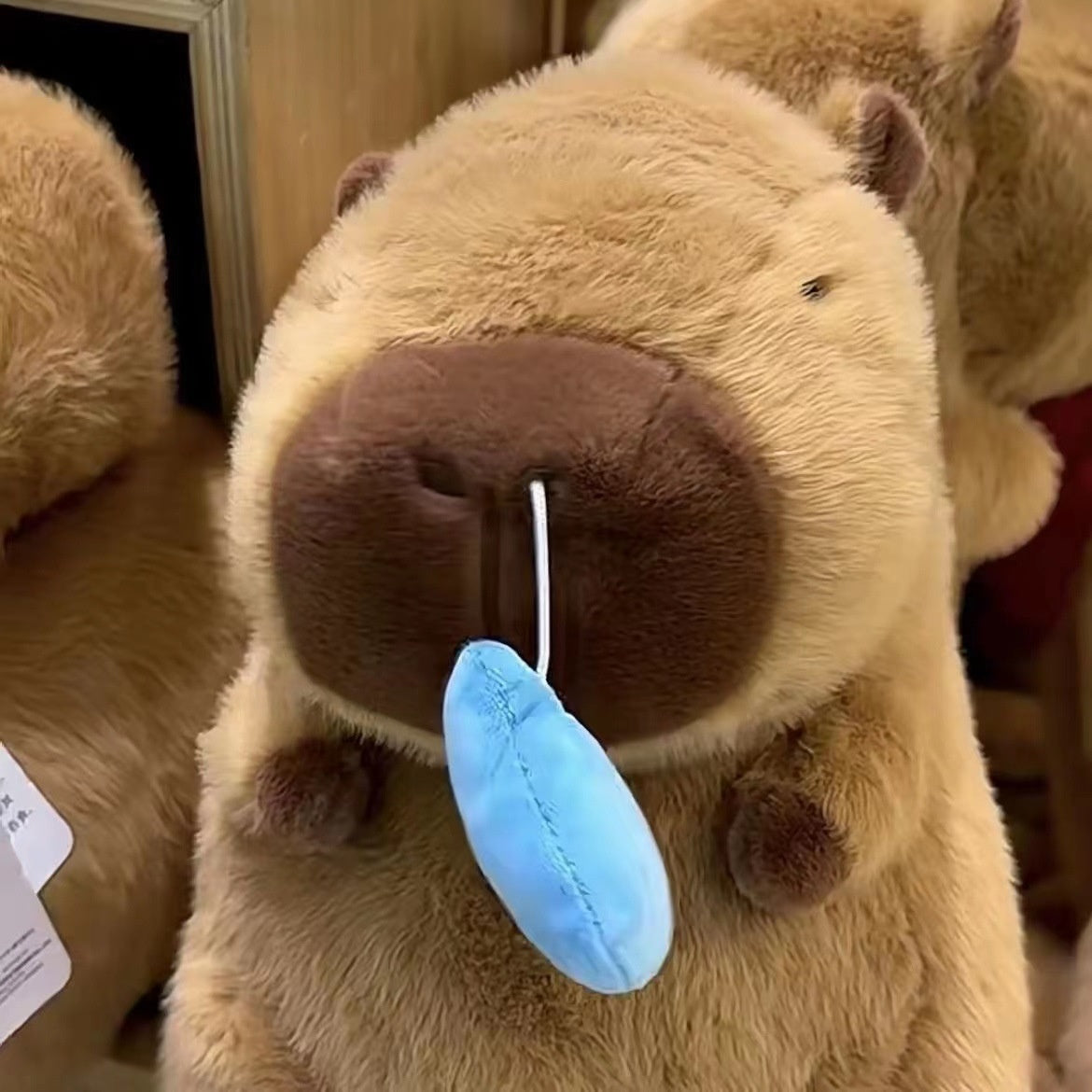 BowLift | Capybara Snot Plush