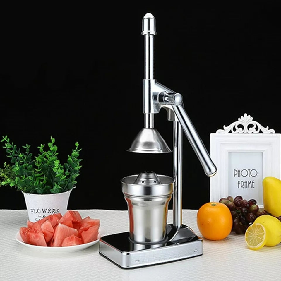 BowLift | Stainless Steel Fruit Juicer