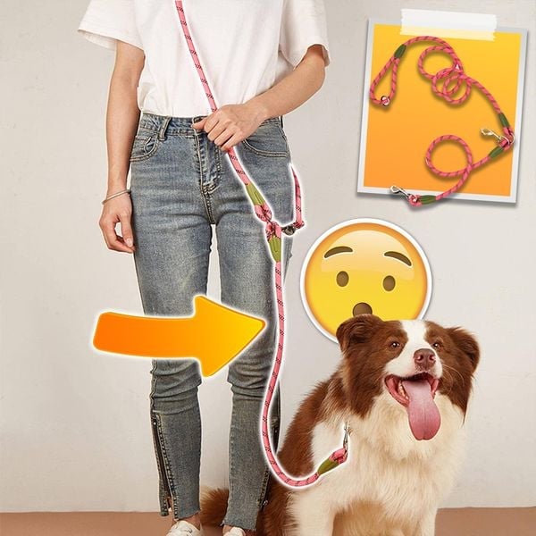 BowLift | Hands Free Dog Leashes