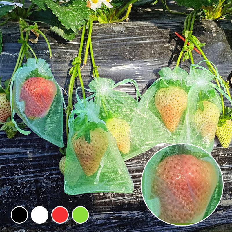 BowLift | Fruit Protection Bag (100 PCS)
