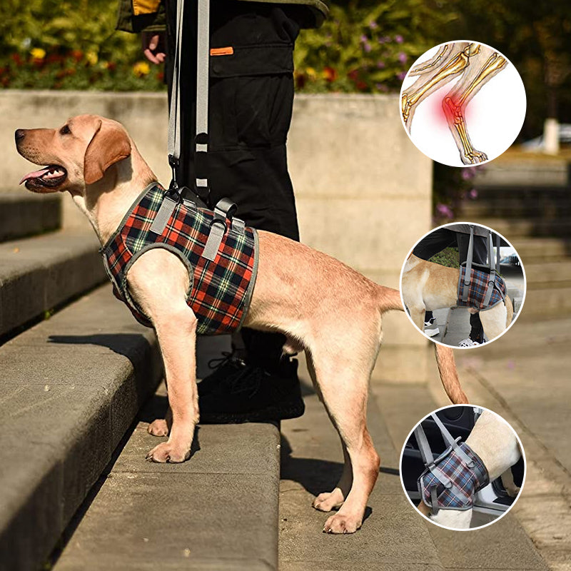 BowLift | Orthopedic Rear Leg Support Harness for Dogs – Ideal for Arthritis, Hip Dysplasia & Mobility Aid