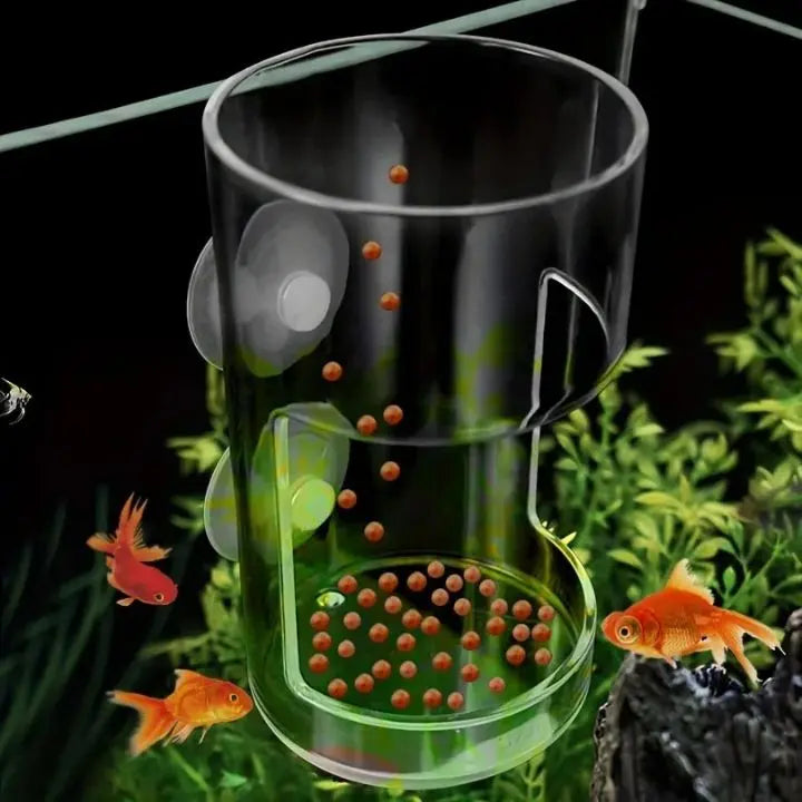 BowLift | Aquarium Feeding Station with Suction Cups – Clean & Targeted Feeding