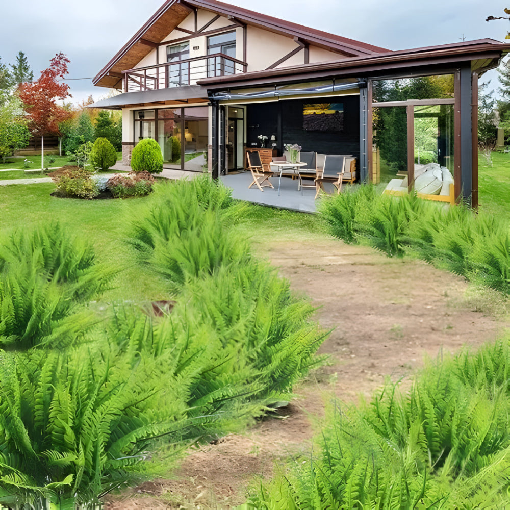 BowLift | Artificial Boston Fern Home Decor Plant