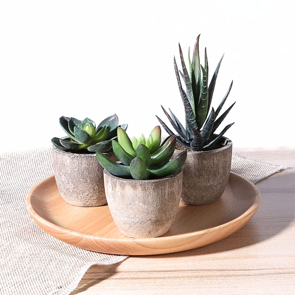 BowLift | Verdea Artificial Succulent Plant Decor