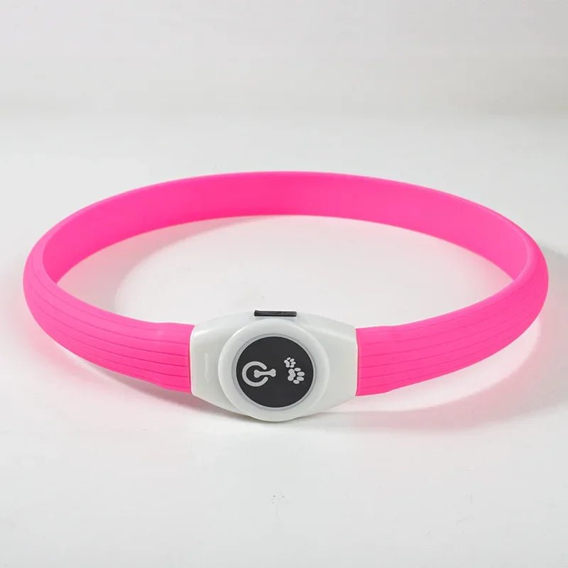 BowLift | LED Light Collar for Dogs for Safe Walks at Night